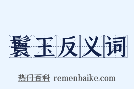 鬟玉反义词是什么意思的图片